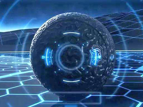 白蚁防治-佛山白蚁防治-广东护建白蚁防治所有限公司简介